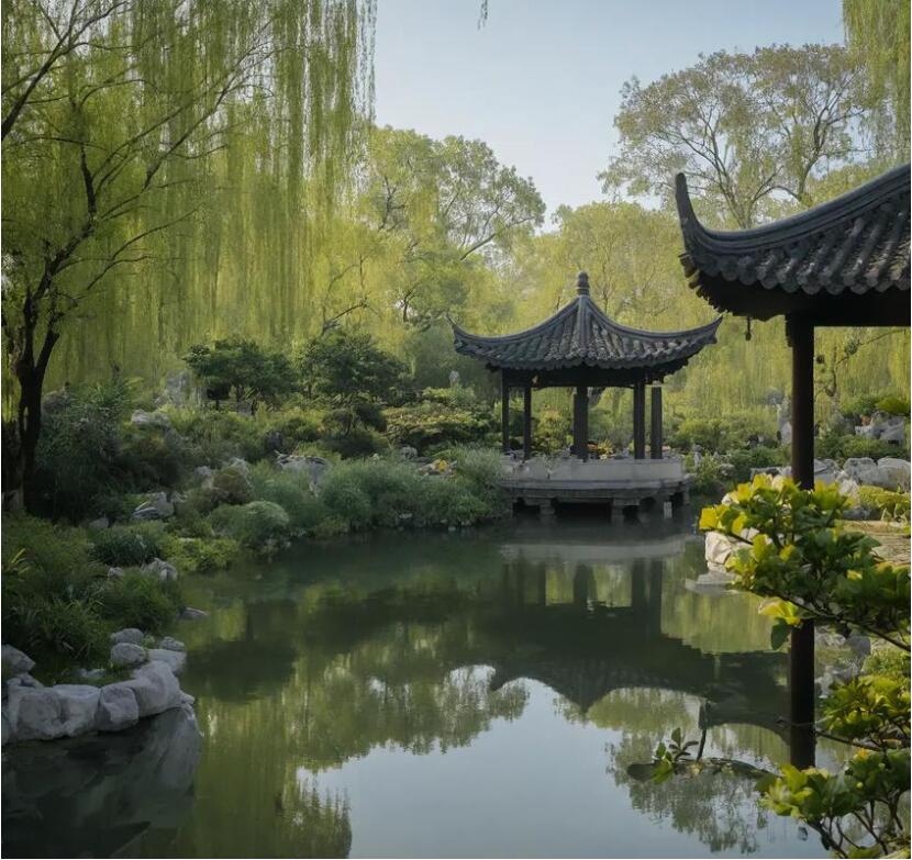 重庆雨双航空航天有限公司